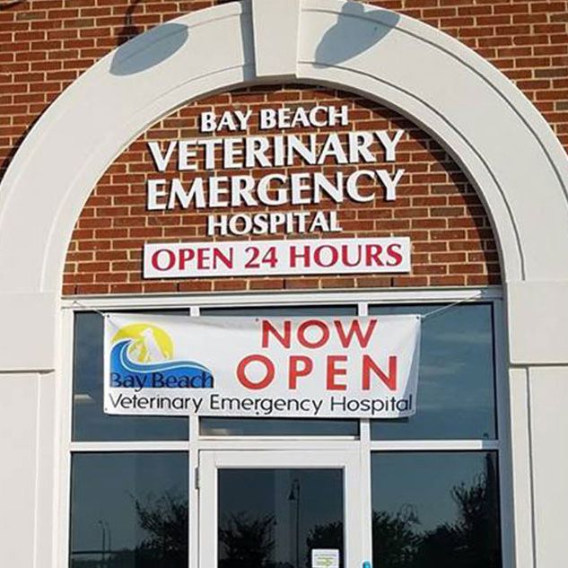 pet hospital open 24 hours near me