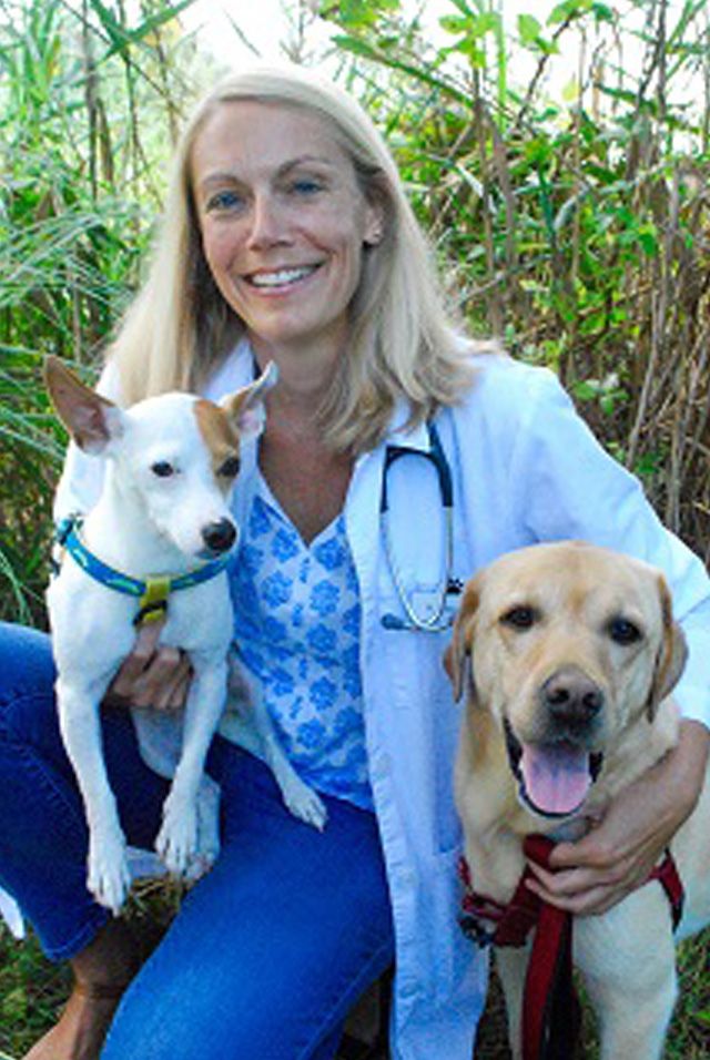 dr bell veterinarian