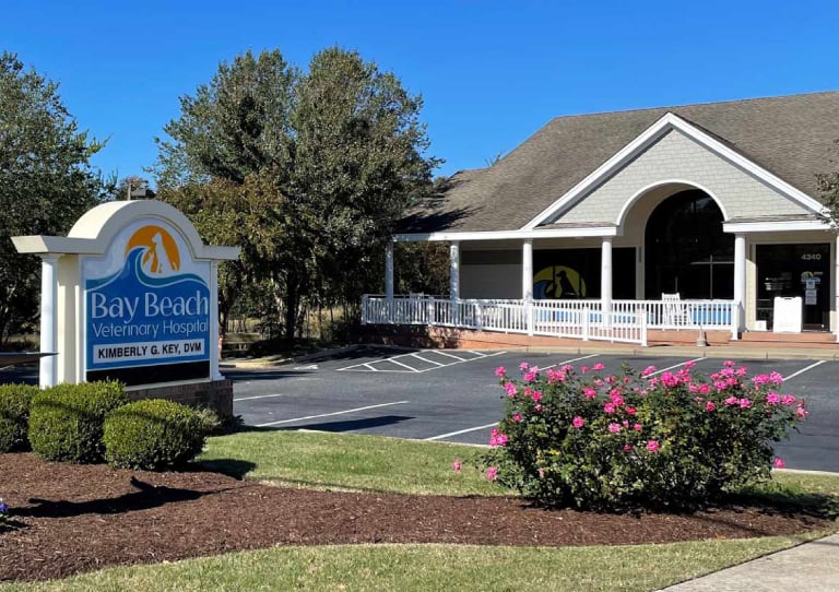Bay Beach Veterinary Hospital Exterior Signage