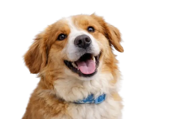 Bay Beach Veterinary Hospital